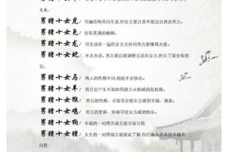 1971年属猪人的命运与人生轨迹解析