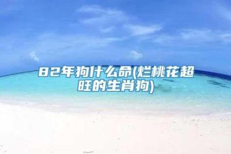 1994年属狗：探索命理与性格的深层奥秘
