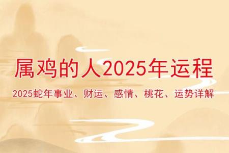 2020年鸡年：命理解析与人生启示，共探运势之道！