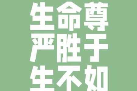 不是贵命就是富命，揭示人生的两种终极追求
