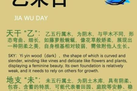 从几点到几点是什么命？揭示不同时间段的性格与命运秘密