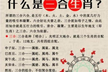 2023年土命属相的最佳选择：解密生肖与命运的奥秘