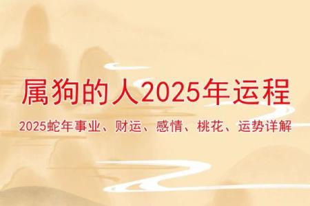属狗的命运解析：了解属狗人的命格与生命的秘密