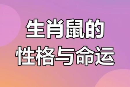 探秘：2020年属鼠人的命运与性格解析