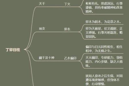 女命日柱胎的深意与命理解析：揭开命运背后的秘密