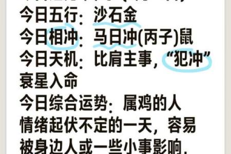 37虚岁属鸡之命运分析与人生智慧探讨