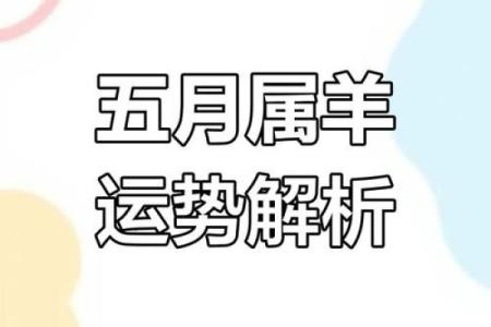 2017年羊年运势解析：如何掌握命理，让生活更加顺利