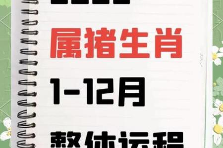 2023年属猪人的命运：贵人相助与机遇并存的一年