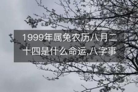 880年农历命运探秘：了解你的命格与个性魅力