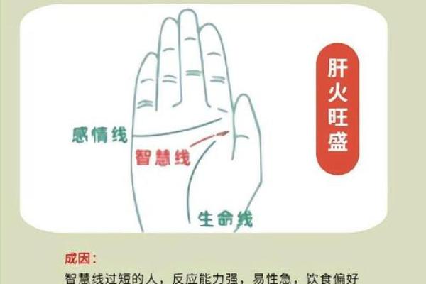 揭示手相中的“操心命”：从掌纹看你的命运脉络