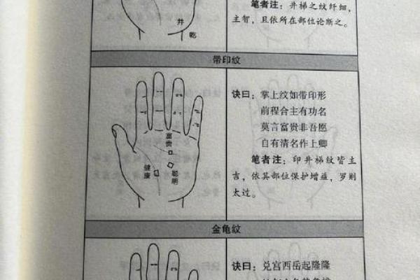 揭示手相中的“操心命”：从掌纹看你的命运脉络