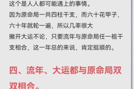 探秘仙命与主命：揭示命理奥秘的两大分类