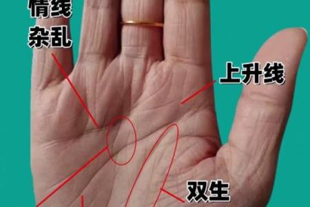 通过手纹解读人生运势：几条线决定你的命运！