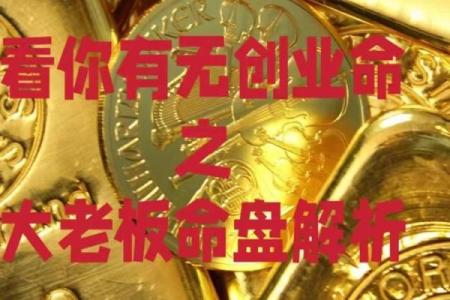 金命人士适合开哪些公司？让我们一探究竟！