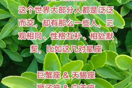 93年金命与最佳配对命格的奇妙缘分