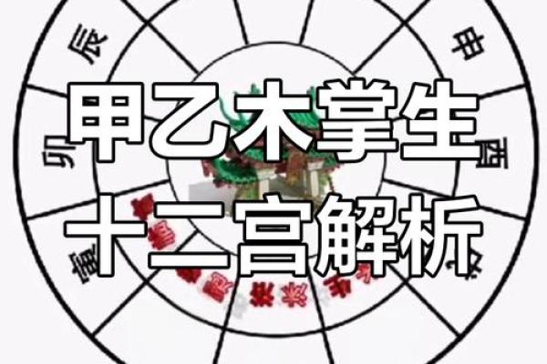 揭秘甲乙木命的强大魅力与人生智慧