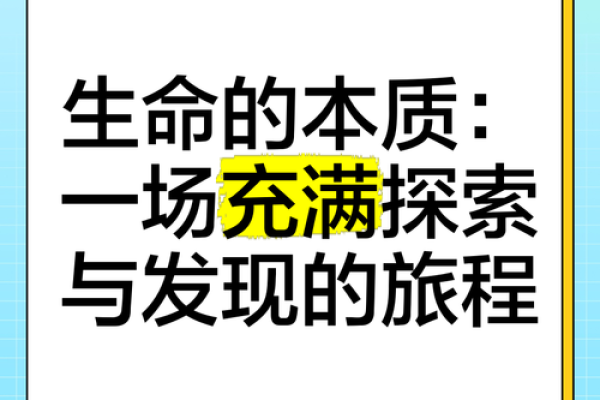 命理解读：都和什么字有关？探索人生的秘密与智慧！