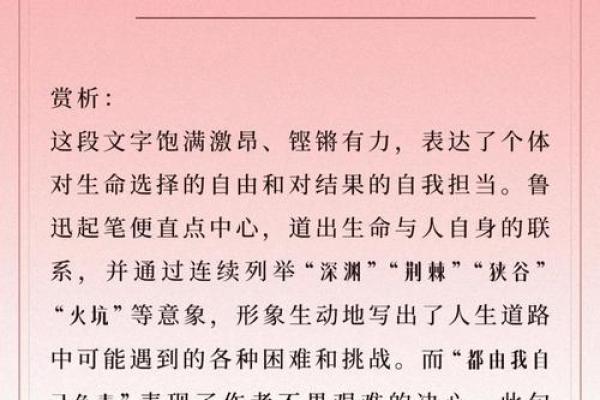 命由我定：探索自由与选择的力量