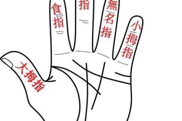 通过手指形态揭秘命运之谜，探索命运的指纹语言！