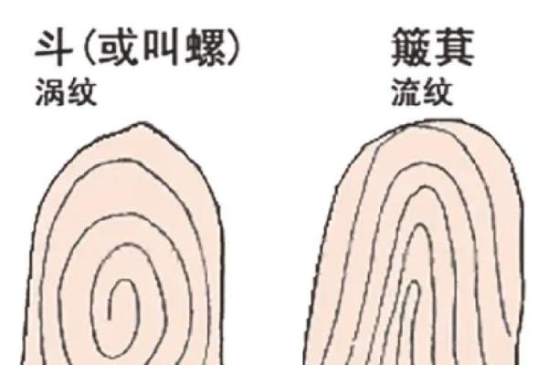 通过手指形态揭秘命运之谜，探索命运的指纹语言！