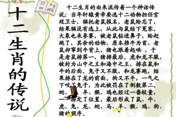 狗年金命的人缺什么？深入解析与解决方案