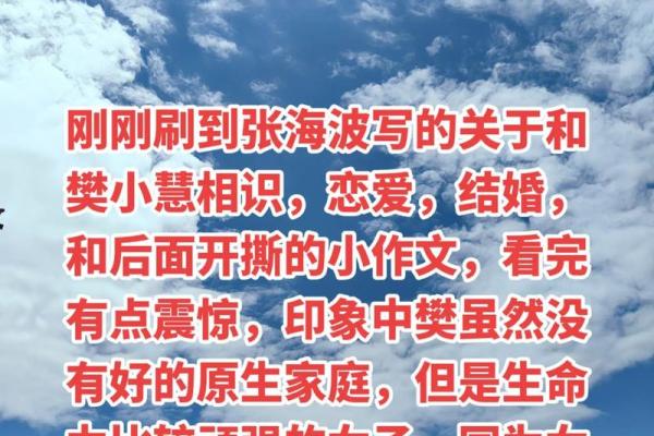 嫁给傻子的女人：不一样的人生选择与命运探秘