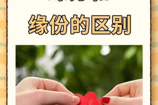 命理与桃花：探索缘分背后的神秘力量