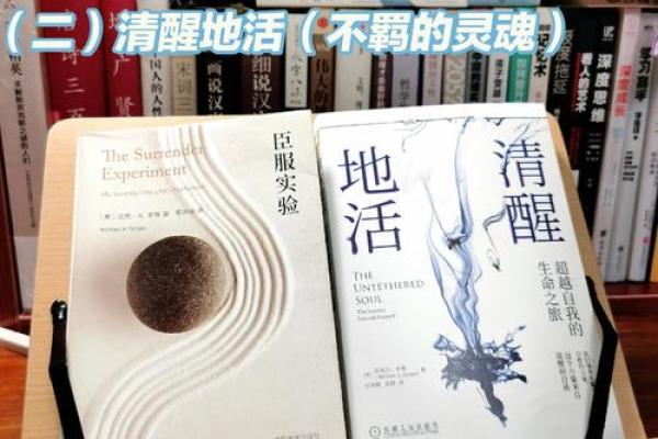 探寻2024年木命的力量与潜力：自然的呼唤与人生的启迪
