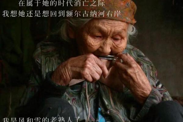 命运的旅程：我们如何与命运共舞并创造精彩人生