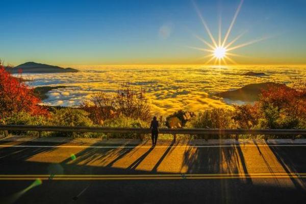 命运的旅程：我们如何与命运共舞并创造精彩人生