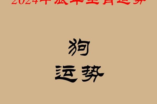 属狗女人的命格解析：她们的特点与命运之路