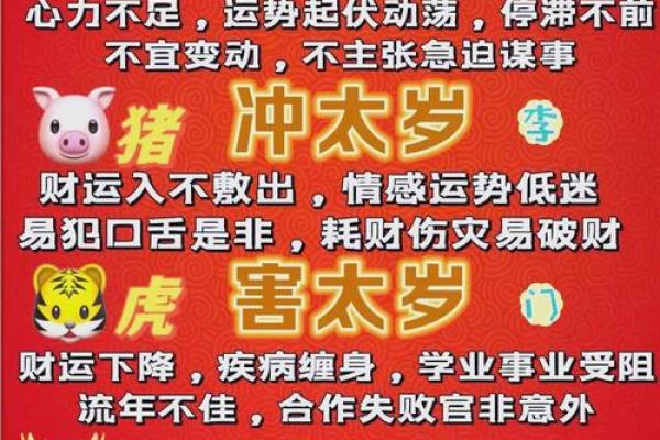 75岁属什么生肖，什么命？生肖与命运深入分析！