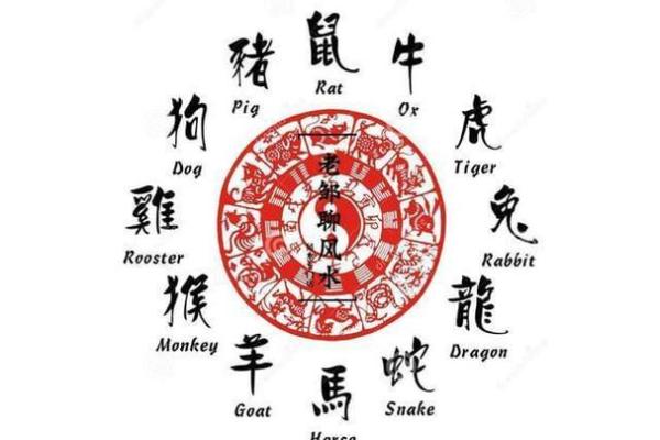 属猪人87岁是什么命:探索命理与人生智慧 属猪人87岁是什么命:探索命理与人生智慧