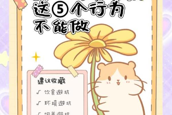 揭秘仓鼠与老鼠的命运共通之处：同属小动物的奇妙魅力