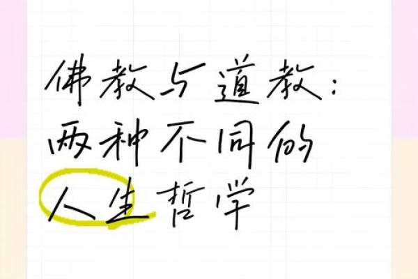 道教与佛教：命与因果的智慧之道