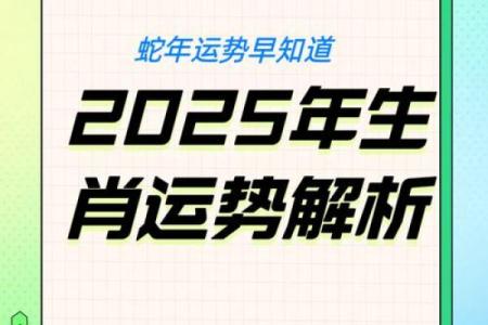 老板命格与生肖的秘密：解读成功背后的生肖力量