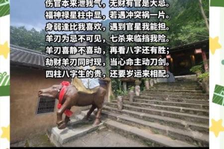 揭秘地主命：命理学中的财富与权力象征