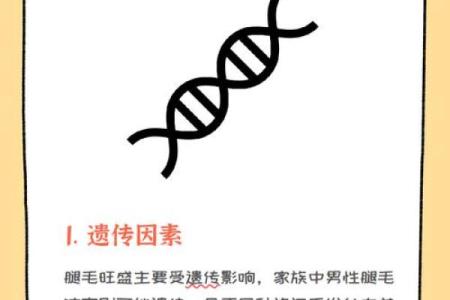 男人腿毛越少，命运是否真的会有所不同？