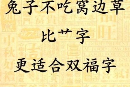 机时兔吃草的命理解析：细看兔年运势与生活智慧