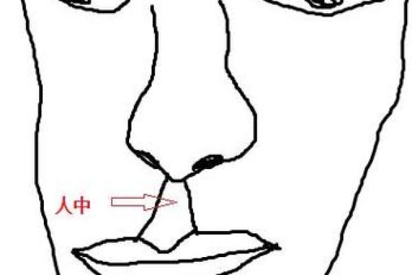 前额凸后脑突:面相解析与命运象征的奥秘 前额凸后脑突:面相解析与命运象征的奥秘