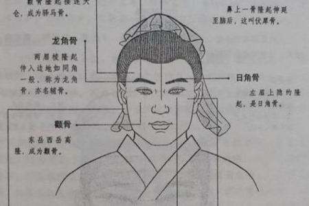 前额凸后脑突：面相解析与命运象征的奥秘