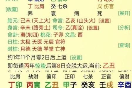 探秘男命偏印与女命伤官的命理奥秘