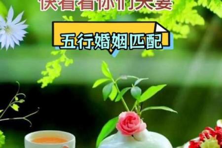 五行金命与最佳婚配：探索命理情缘的奥秘