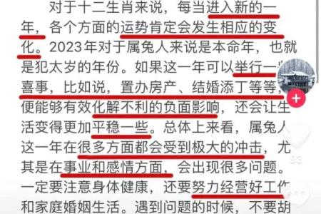 2023兔年运势解析：兔兔发芽，万事胜意！