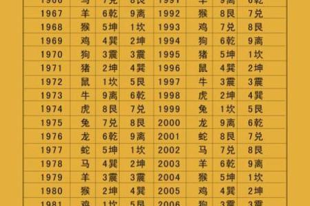 探索东四命与西四命的奥秘：命理学中的关键分歧与人生导向