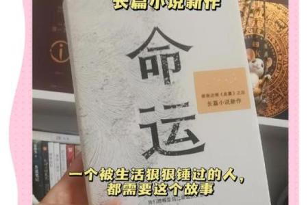 揭开命运的面纱：落命的深刻意蕴与人生启示