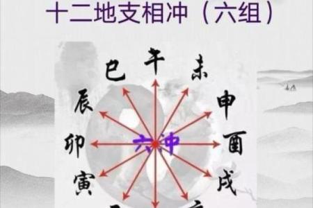 了解猪年五行命格，探寻你的命运之道！