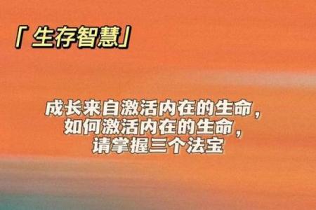 命杖之碎与金鱼命的深刻解读：探寻内心的力量与命运之舞
