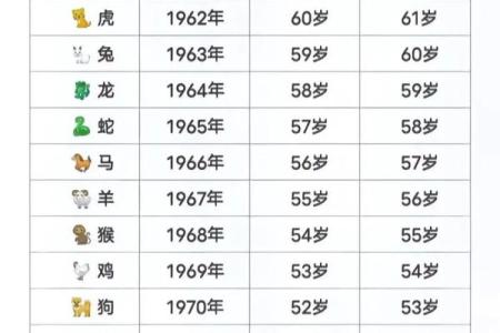 查找你的命运与缺失：2019年生肖运势全面解析