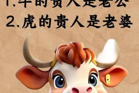 虎年出生的人贵人生肖揭秘，助你人生更辉煌！